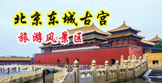 男女日逼黄色网站免费看中国北京-东城古宫旅游风景区